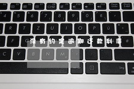 没有约定逾期还款利率 没有约定逾期还款利率