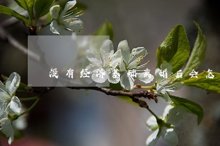 没有经济基础离婚后会怎么样 没有经济基础离婚后会怎么样