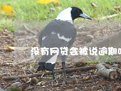 没有网贷会被说逾期吗 没有网贷会被说逾期吗