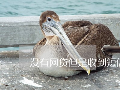 没有网贷但是收到短信逾期