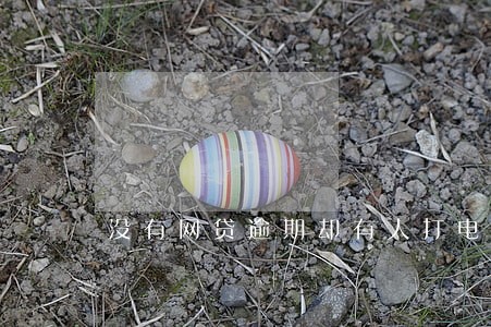 没有网贷逾期却有人打电话