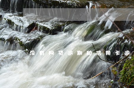 没有网贷逾期和信用卡逾期