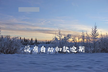 没有自动扣款逾期