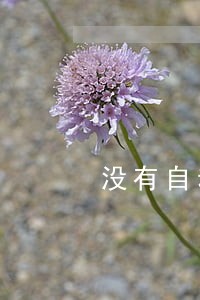 没有自动还款导致信用卡逾期 没有自动还款导致信用卡逾期