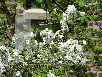 没有规定逾期赔偿
