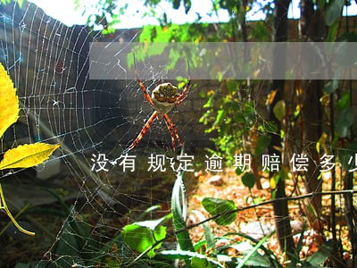 没有规定逾期赔偿多少钱