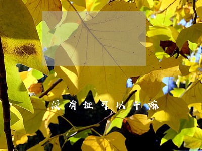 没有证可以干嘛 没有证可以干嘛