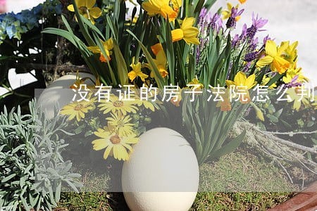 没有证的房子法院怎么判决