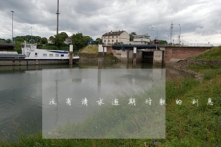 没有请求逾期付款的利息 没有请求逾期付款的利息
