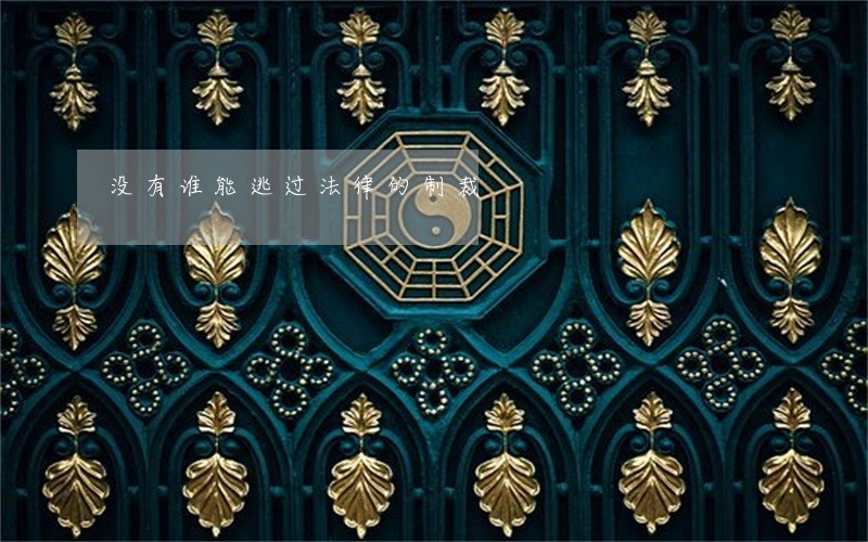 没有谁能逃过法律的制裁 没有谁能逃过法律的制裁