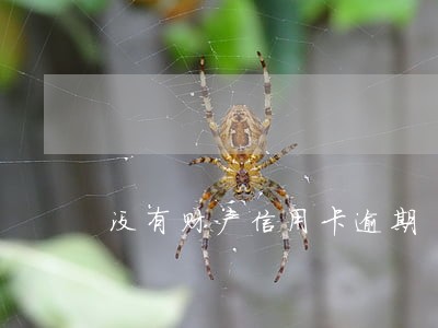 没有财产信用卡逾期 没有财产信用卡逾期