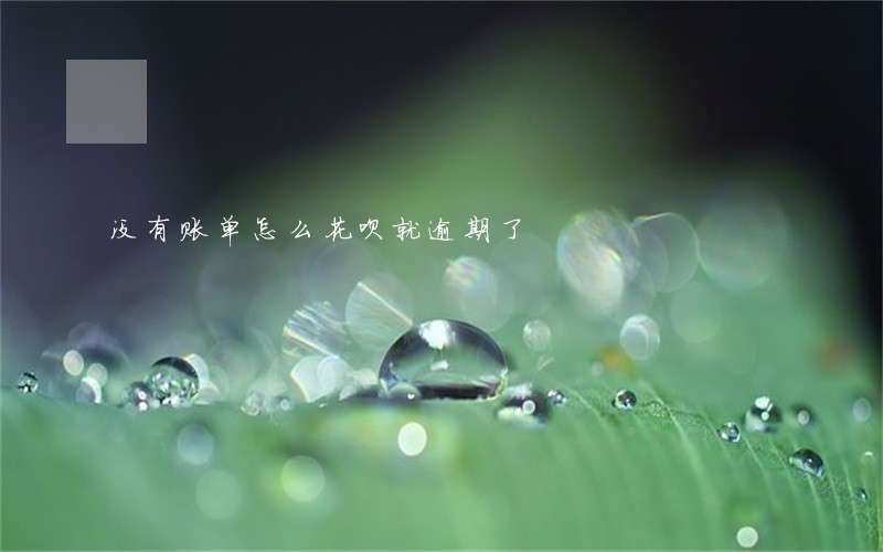 没有账单怎么花呗就逾期了