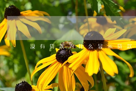 没有贷款为什么显示贷款逾期
