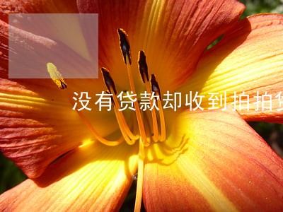 没有贷款却收到拍拍贷逾期信息 没有贷款却收到拍拍贷逾期信息