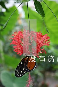 没有贷款却收到逾期信息 没有贷款却收到逾期信息