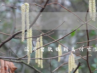 没有贷款收到支付宝贷款逾期 没有贷款收到支付宝贷款逾期