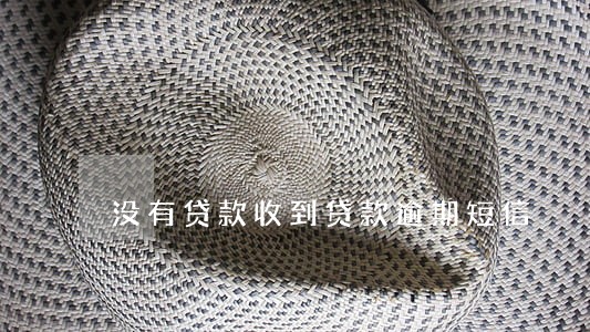 没有贷款收到贷款逾期短信