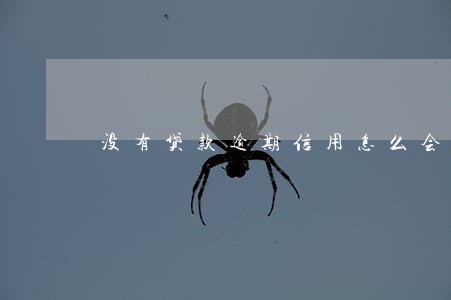 没有贷款逾期信用怎么会差 没有贷款逾期信用怎么会差