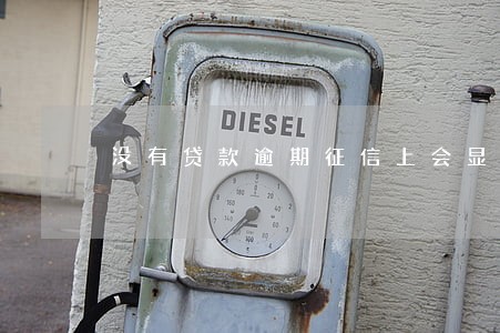 没有贷款逾期征信上会显示什么