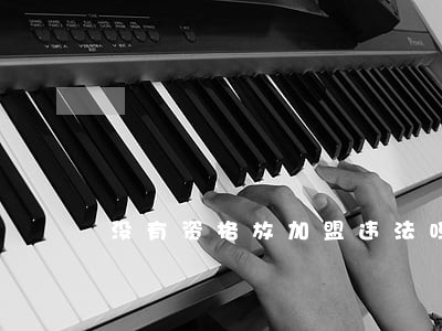 没有资格放加盟违法吗 没有资格放加盟违法吗