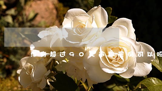 没有超过90天逾期买房可以吗 没有超过90天逾期买房可以吗