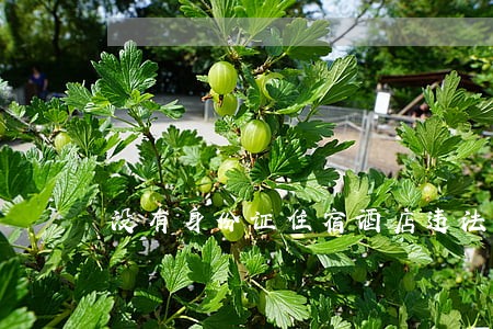 没有身份证住宿酒店违法吗 没有身份证住宿酒店违法吗