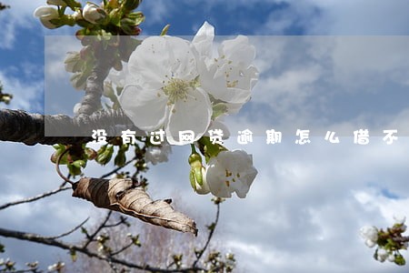 没有过网贷逾期怎么借不了网贷 没有过网贷逾期怎么借不了网贷
