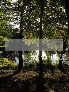没有过逾期网贷信用卡都被拒绝 没有过逾期网贷信用卡都被拒绝