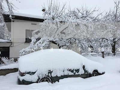 没有违法公安能查征信