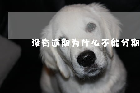 没有逾期为什么不能分期付款 没有逾期为什么不能分期付款