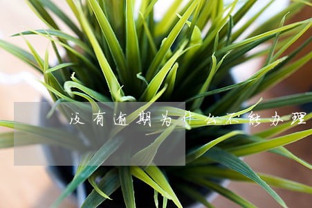没有逾期为什么不能办理贷款 没有逾期为什么不能办理贷款