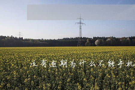 没有逾期为什么不能手机分期 没有逾期为什么不能手机分期