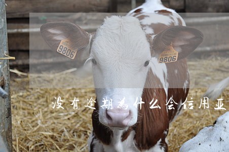 没有逾期为什么会信用亚健康