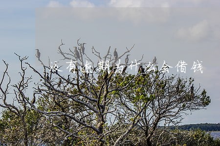 没有逾期为什么会借钱 没有逾期为什么会借钱
