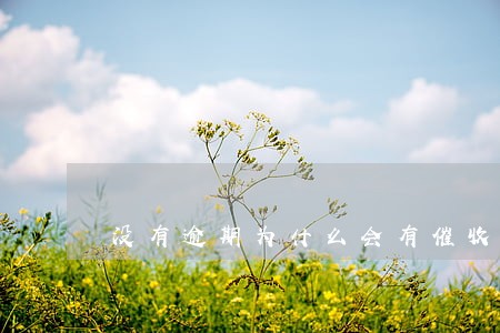 没有逾期为什么会有催收电话 没有逾期为什么会有催收电话