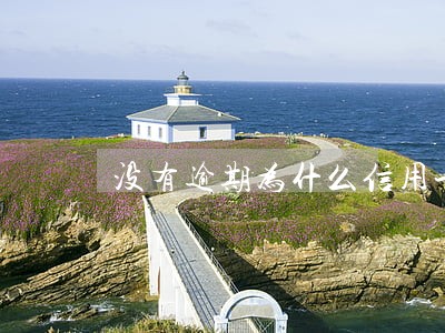没有逾期为什么信用卡办不了 没有逾期为什么信用卡办不了