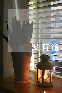 没有逾期为什么信用还是那么低 没有逾期为什么信用还是那么低