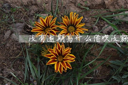 没有逾期为什么借呗没额度了 没有逾期为什么借呗没额度了