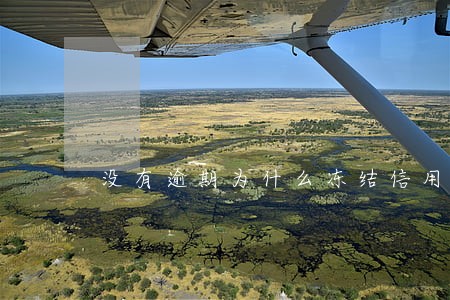 没有逾期为什么冻结信用卡吗
