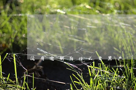 没有逾期为什么变黑户 没有逾期为什么变黑户