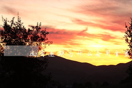 没有逾期为什么备用金显示逾期 没有逾期为什么备用金显示逾期
