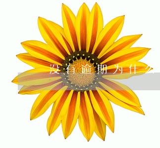 没有逾期为什么备用金说我逾期