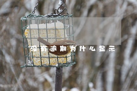 没有逾期为什么显示 没有逾期为什么显示
