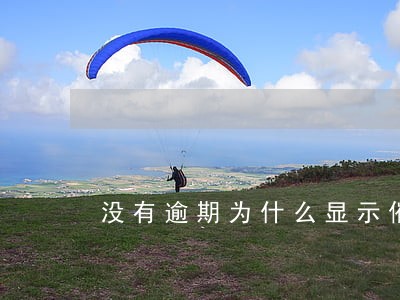 没有逾期为什么显示催告费 没有逾期为什么显示催告费