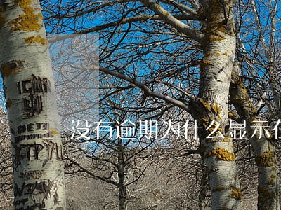 没有逾期为什么显示在征信里面 没有逾期为什么显示在征信里面