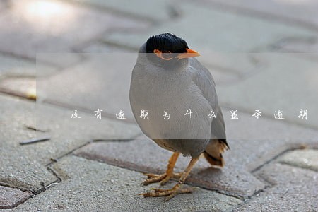 没有逾期为什么显示逾期 没有逾期为什么显示逾期