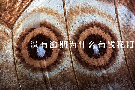 没有逾期为什么有钱花打电话 没有逾期为什么有钱花打电话