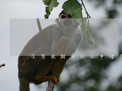 没有逾期为什么申请不了车贷 没有逾期为什么申请不了车贷