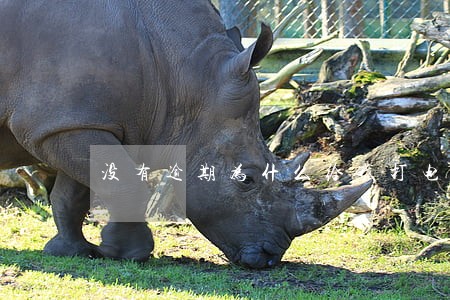 没有逾期为什么给我打电话 没有逾期为什么给我打电话