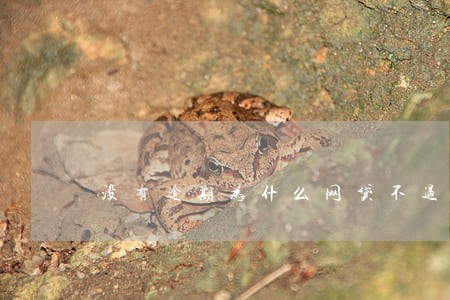 没有逾期为什么网贷不过 没有逾期为什么网贷不过